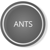 ANTS