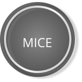 MICE